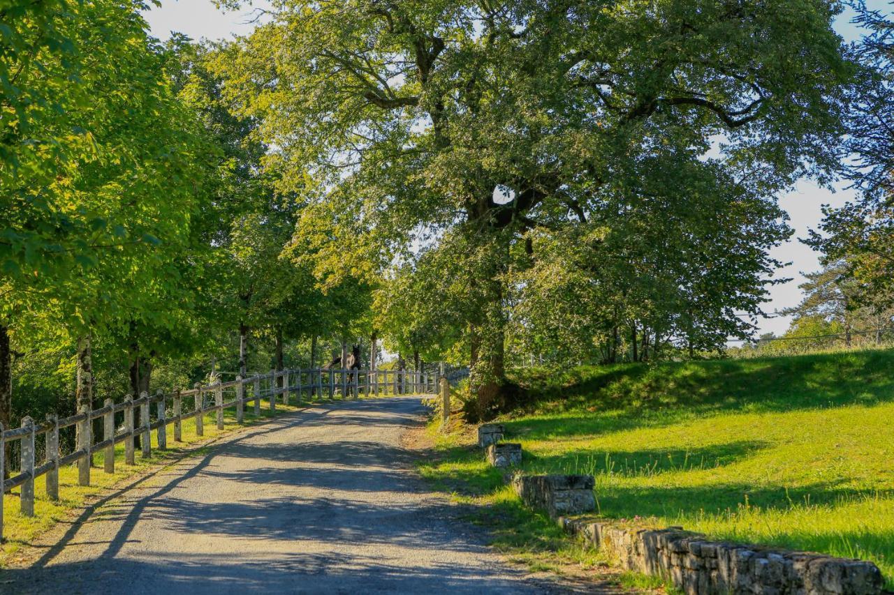 Logis Hotels Domaine Du Chatelard Dirac Esterno foto